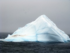 Antarctic-Adventure---Icebe